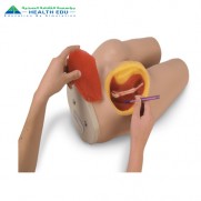 Intramuscular Injection Simulator