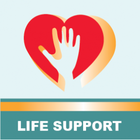 Basic Life Support BLS GS